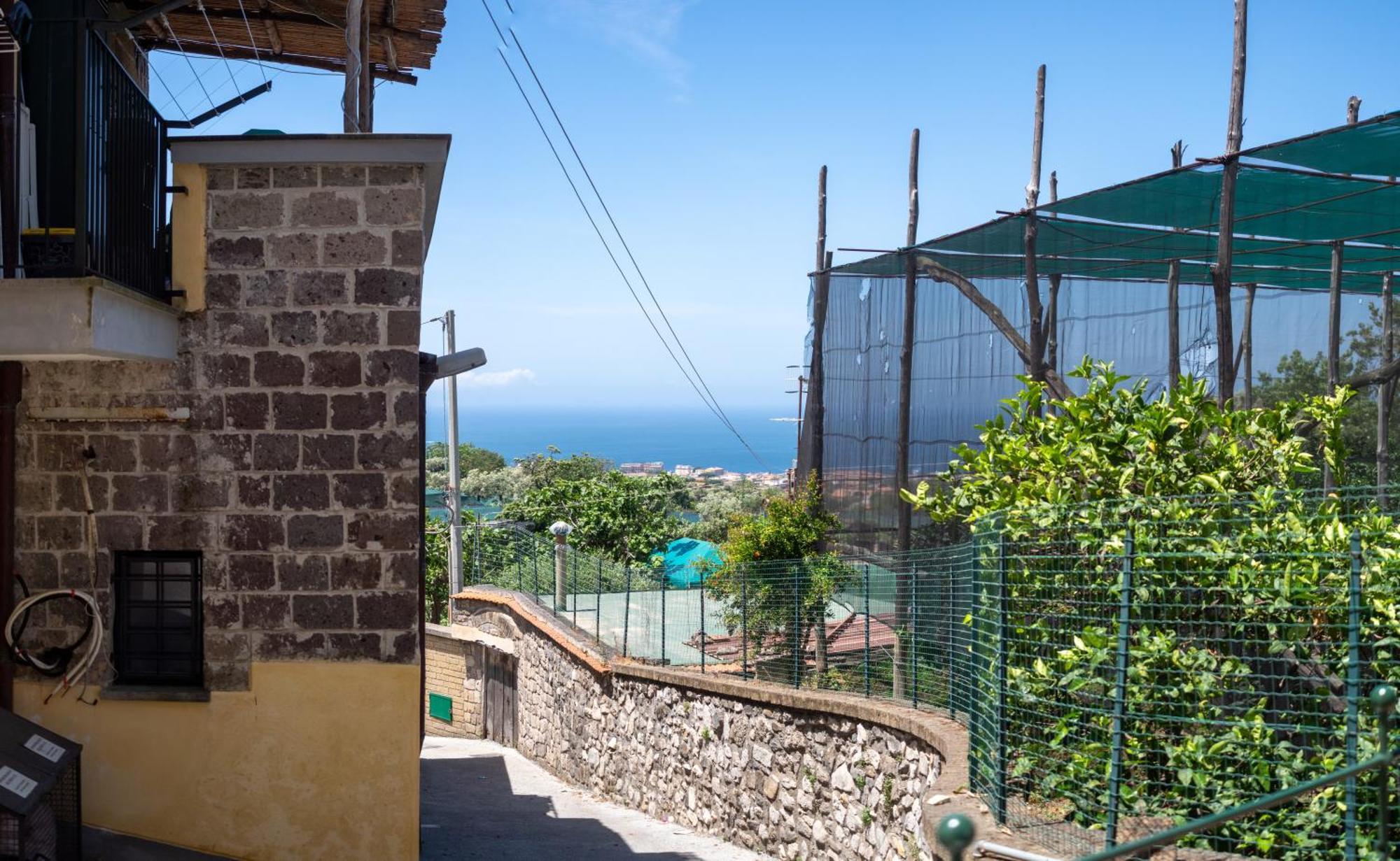 Antica Residenza La Vela Διαμέρισμα Meta Δωμάτιο φωτογραφία